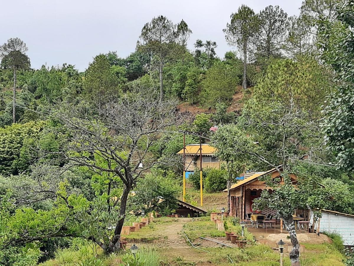 Mukteshwar Grand Retreat Zewnętrze zdjęcie
